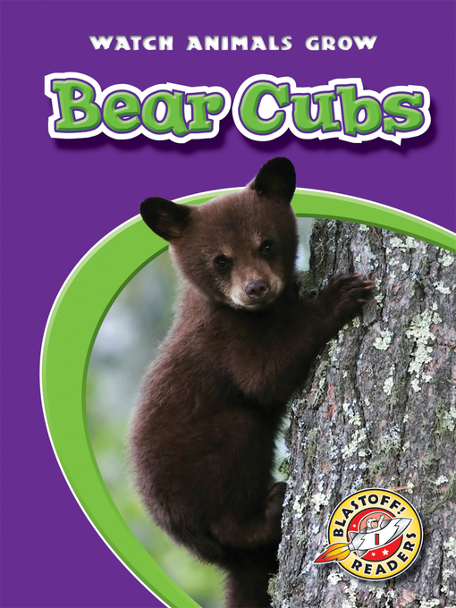Cover image for Bear Cubs